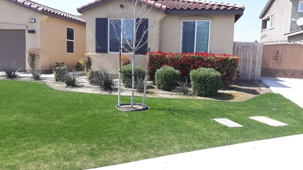 Professional residential landscaping in Bakersfield, CA - Poma Landscaping