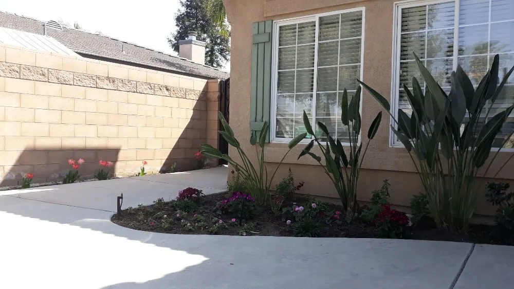 Custom yard maintenance in Bakersfield, CA by Poma Landscaping