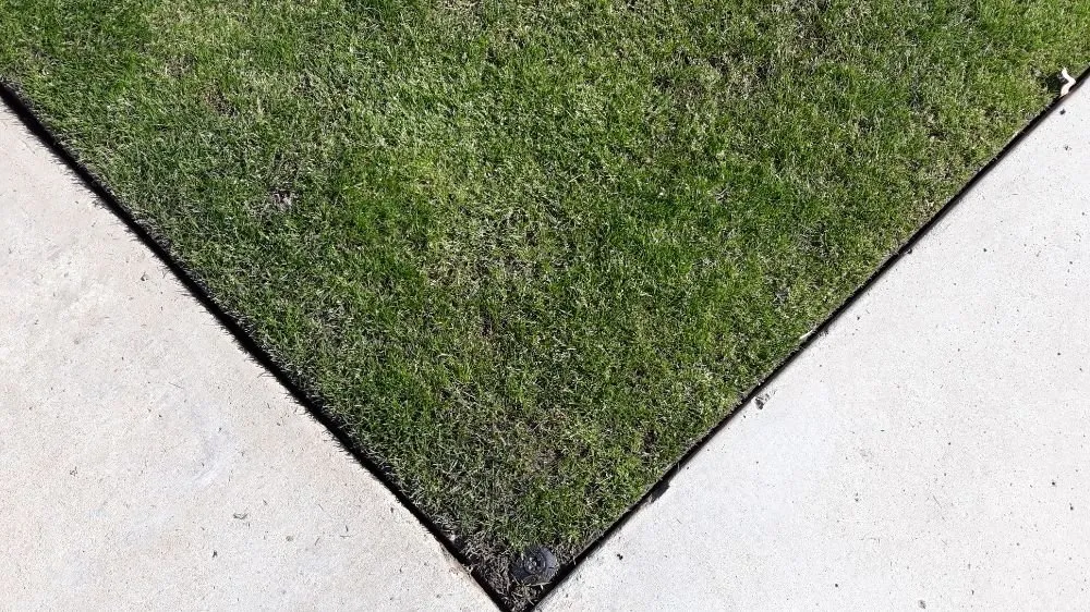 Affordable garden landscaping in Bakersfield, CA by Poma Landscaping