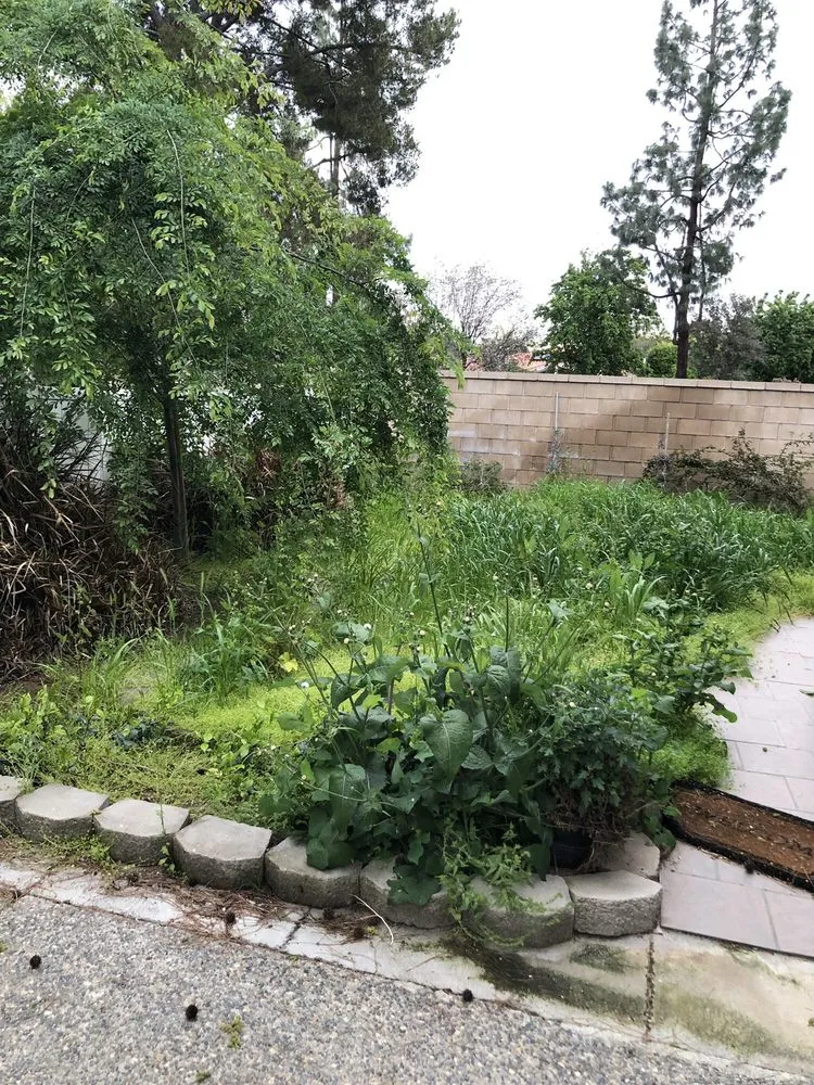 Professional garden landscaping for homes in Bakersfield, CA by Poma Landscaping