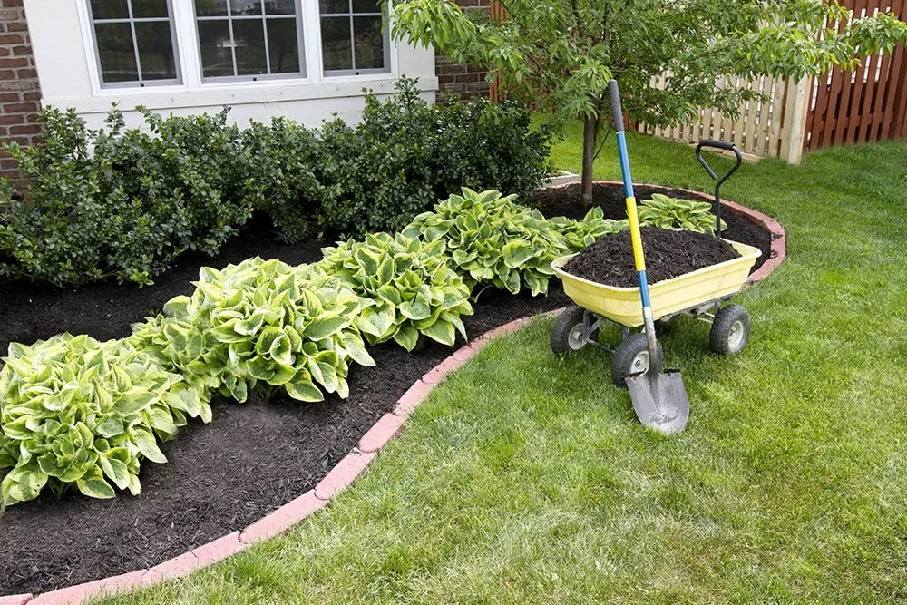 Trusted yard maintenance experts serving Bakersfield, CA - Poma Landscaping