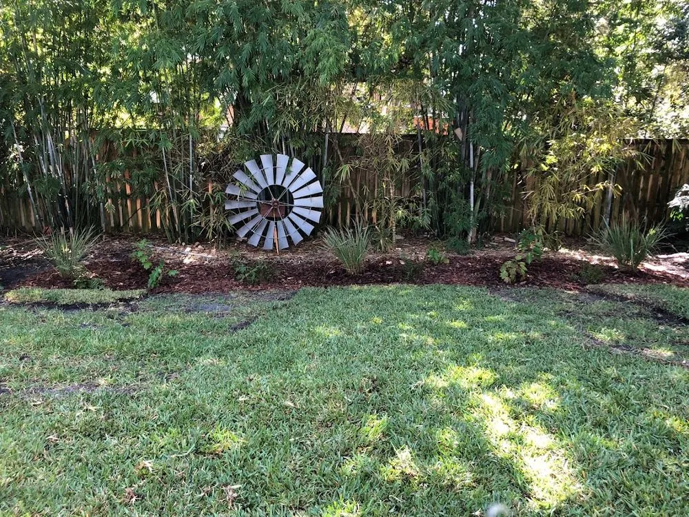 Local yard cleanup service for beautiful yards across St. Augustine, FL - Ponce de Lawn Landscaping
