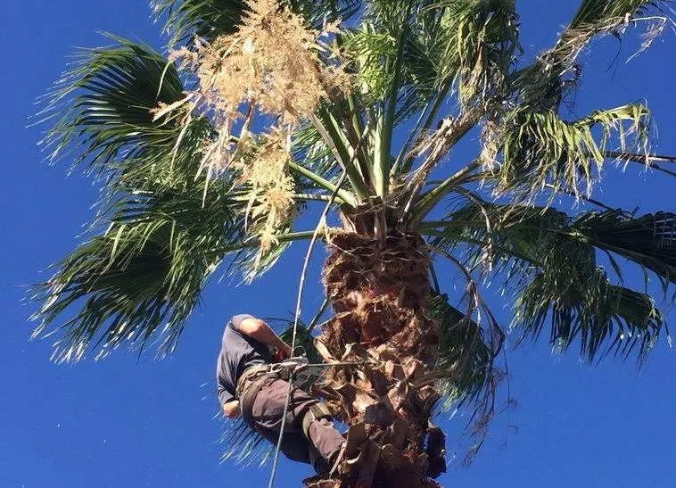 Local lawn mowing service for outdoor upgrades across St. Augustine, FL - Ponce de Lawn Landscaping