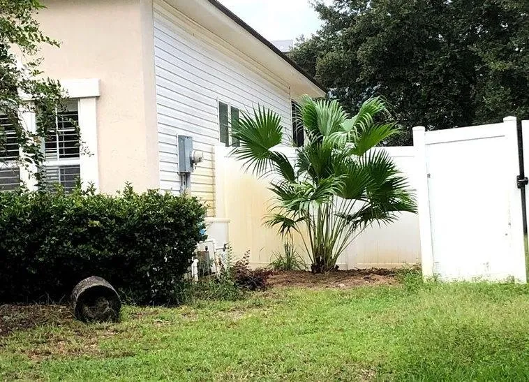 Affordable landscape installation experts serving St. Augustine, FL - Ponce de Lawn Landscaping