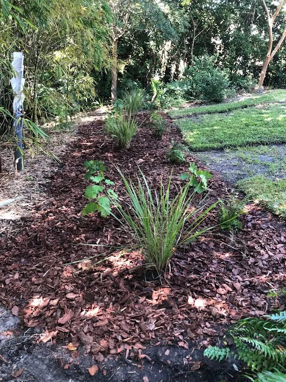 Reliable landscape design in St. Augustine, FL - Ponce de Lawn Landscaping