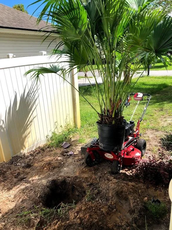 Custom garden landscaping in St. Augustine, FL - Ponce de Lawn Landscaping