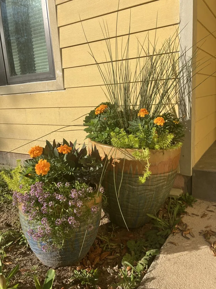 Custom landscape design in St. Augustine, FL - Ponce de Lawn Landscaping