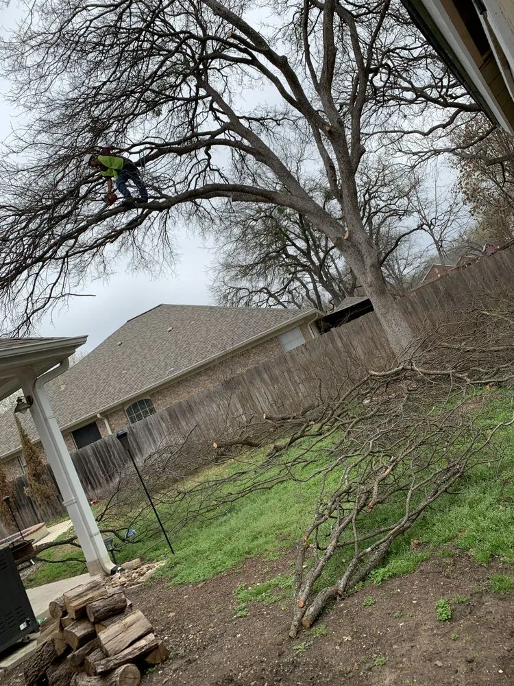 Affordable landscape design for year-round maintenance in Austin, TX by Ponce Services