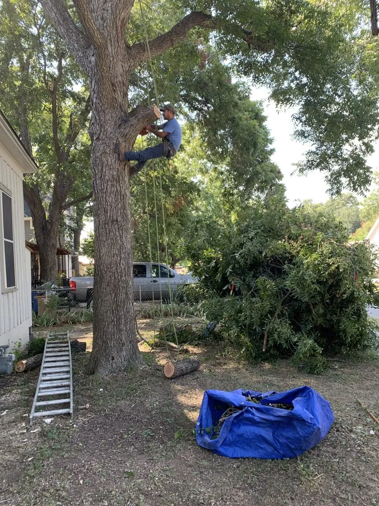 Professional outdoor landscaping in Austin, TX - Ponce Services