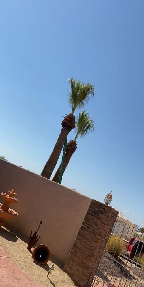 Reliable landscape installation in Lake Havasu City, AZ by Ponces Landscaping