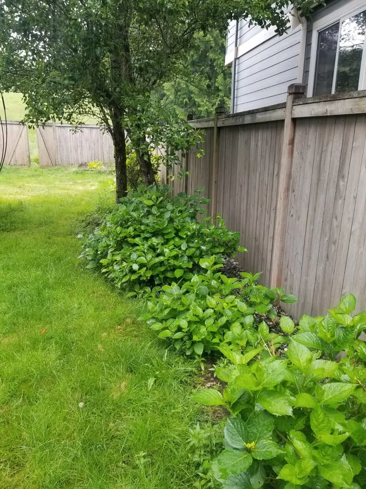 Affordable outdoor landscaping for homes in Lake Stevens, WA by Ponce's Landscaping