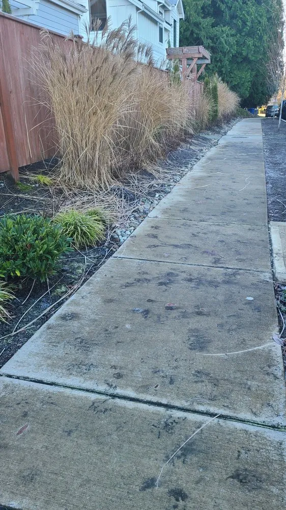 Local landscape installation for homes in Lake Stevens, WA by Ponce's Landscaping