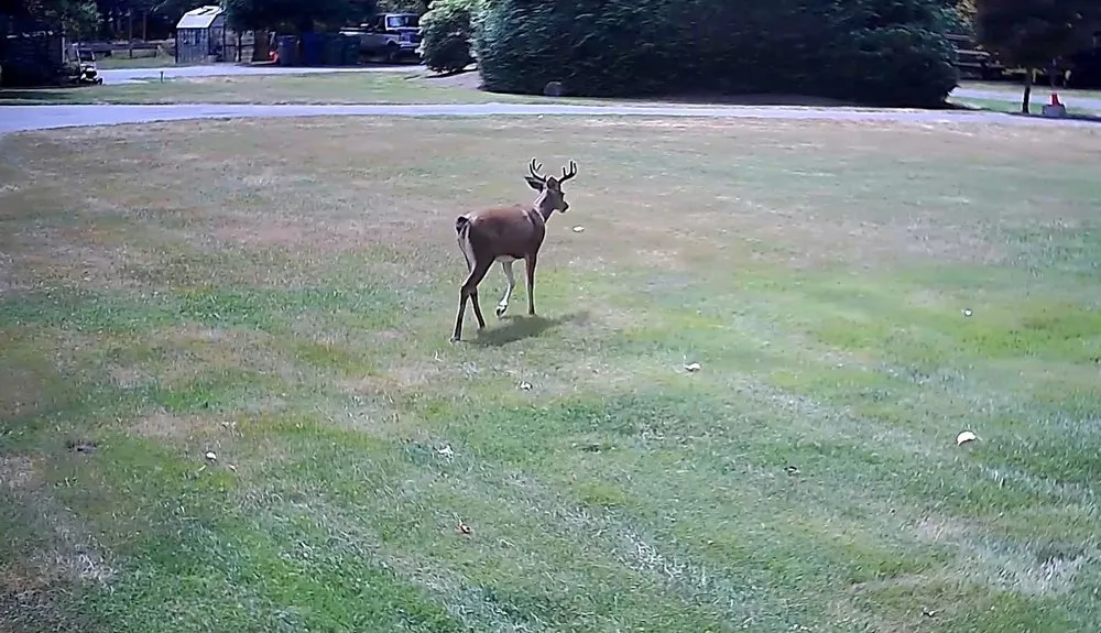 Top-rated garden landscaping in Lake Stevens, WA by Ponce's Landscaping