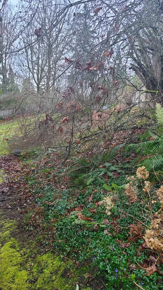 Expert lawn care service in Lake Stevens, WA - Ponce's Landscaping