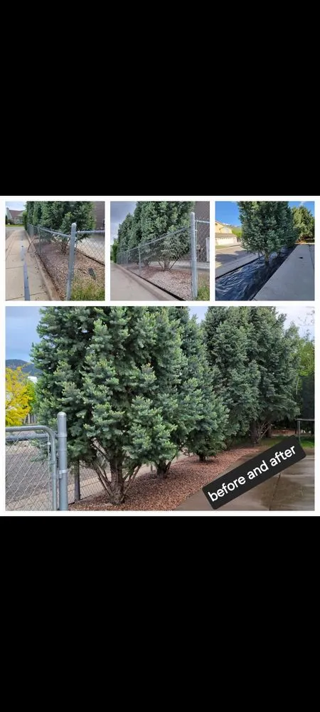 Affordable outdoor landscaping for year-round maintenance across Salt Lake City, UT - Ponce's Landscaping