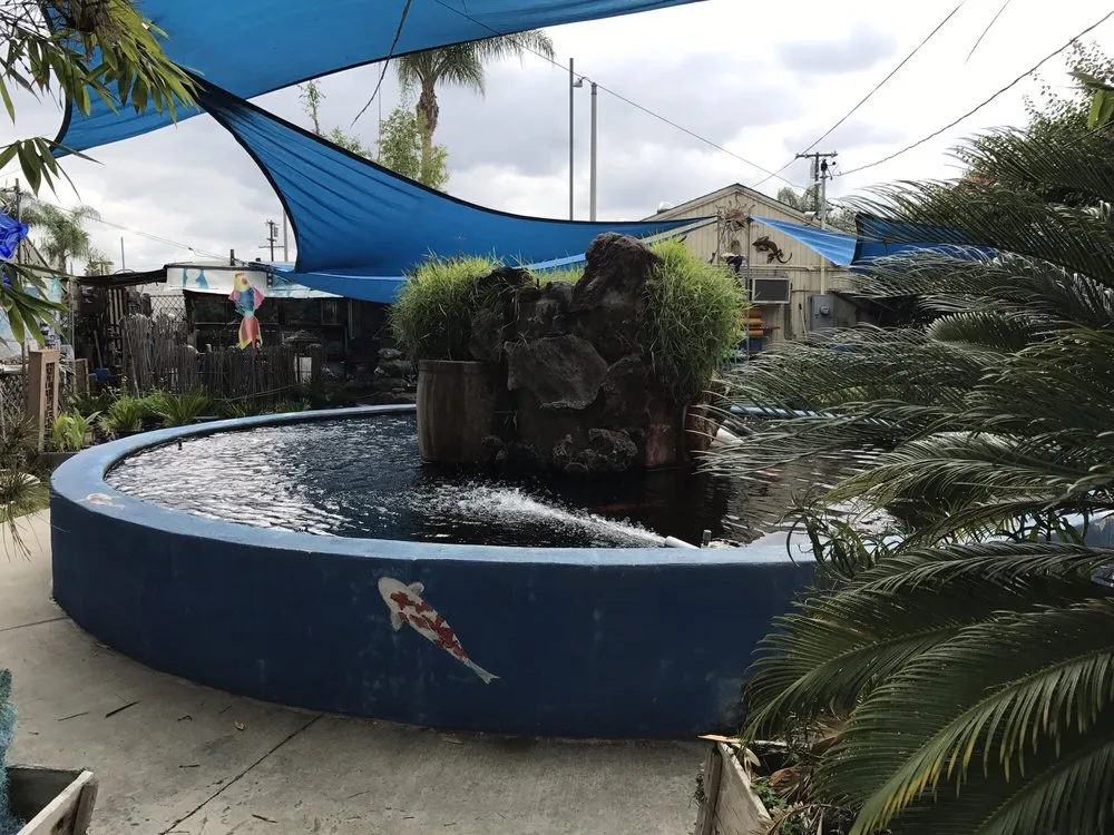 Expert yard maintenance for beautiful yards in San Gabriel, CA by Pond 101