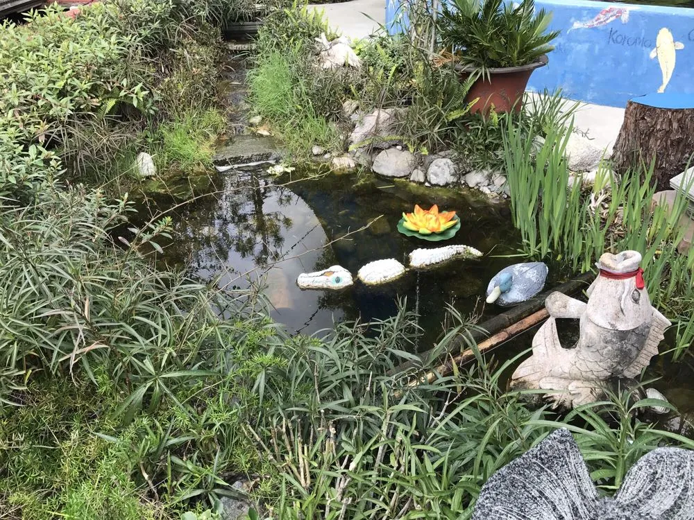 Local landscape design for year-round maintenance in San Gabriel, CA by Pond 101