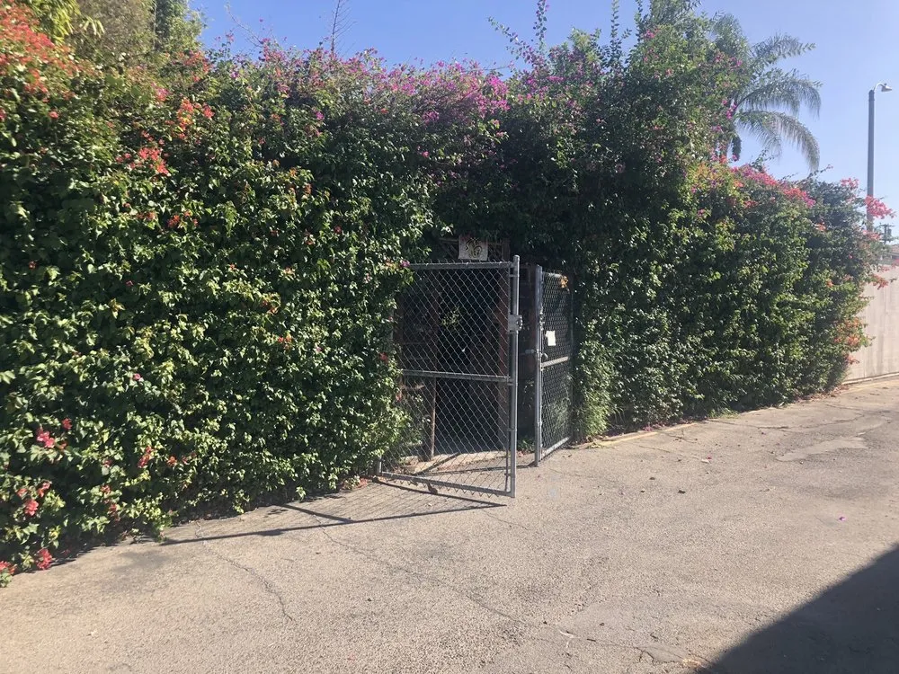 Reliable lawn mowing service in San Gabriel, CA - Pond 101