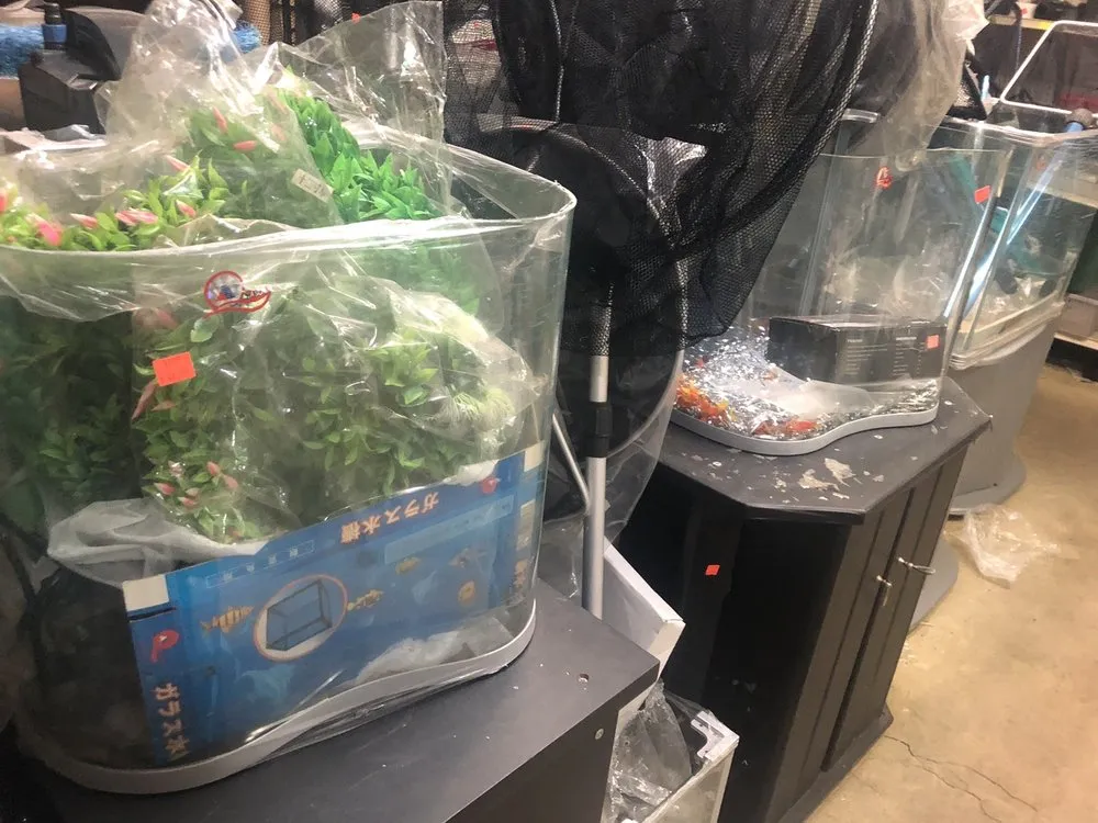 Custom landscaping services for homes across San Gabriel, CA - Pond 101