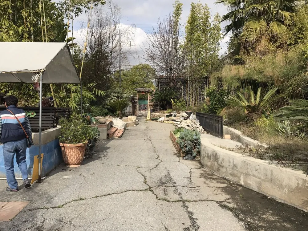 Expert landscape design for homes across San Gabriel, CA - Pond 101