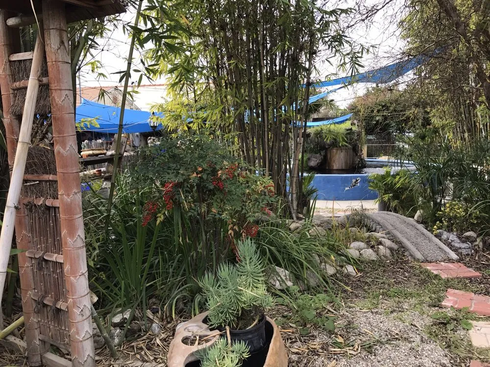 Reliable yard cleanup service in San Gabriel, CA - Pond 101