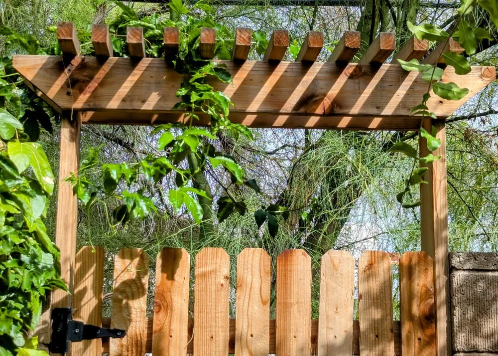 Trusted landscaping services in Tucson, AZ by Pond and Permaculture Design