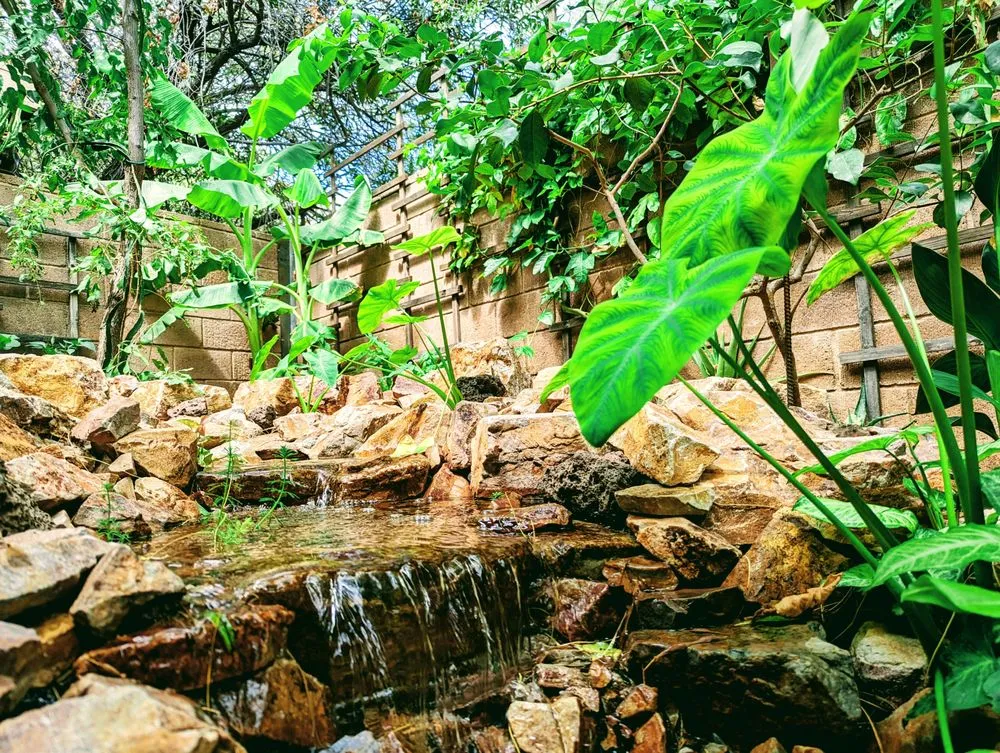 Custom outdoor landscaping for beautiful yards across Tucson, AZ - Pond and Permaculture Design