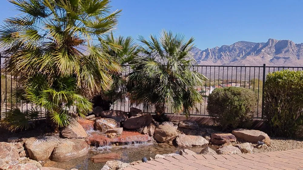 Local landscape design in Tucson, AZ - Pond and Permaculture Design