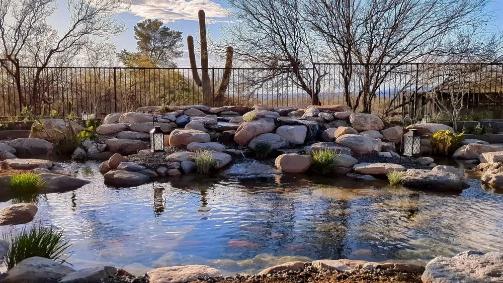 Expert yard maintenance experts serving Tucson, AZ - Pond and Permaculture Design