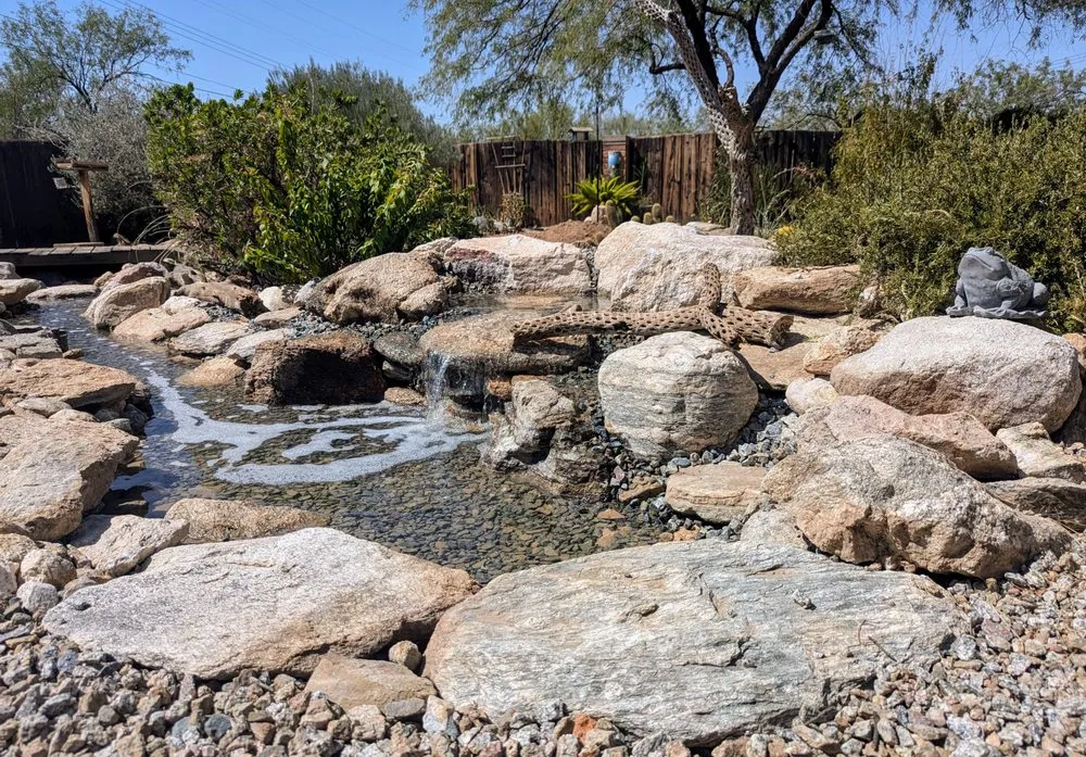 Local yard maintenance near you across Tucson, AZ - Pond and Permaculture Design