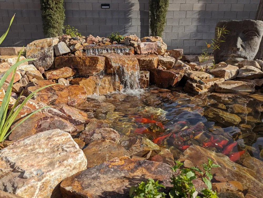 Custom landscaping services with custom design across Tucson, AZ - Pond and Permaculture Design