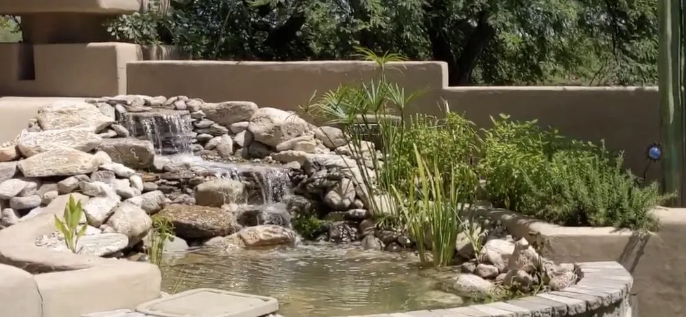 Expert landscape design for beautiful yards in Tucson, AZ by Pond and Permaculture Design