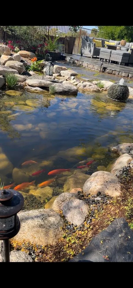 Custom lawn care service in Tucson, AZ - Pond and Permaculture Design