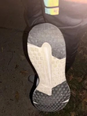 Pond Boy Water Gardens