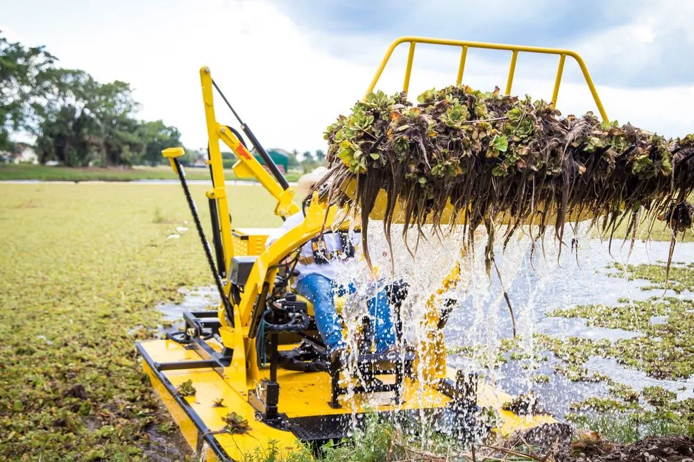 Professional outdoor landscaping experts serving Mandeville, LA - Pond Cleaning Service