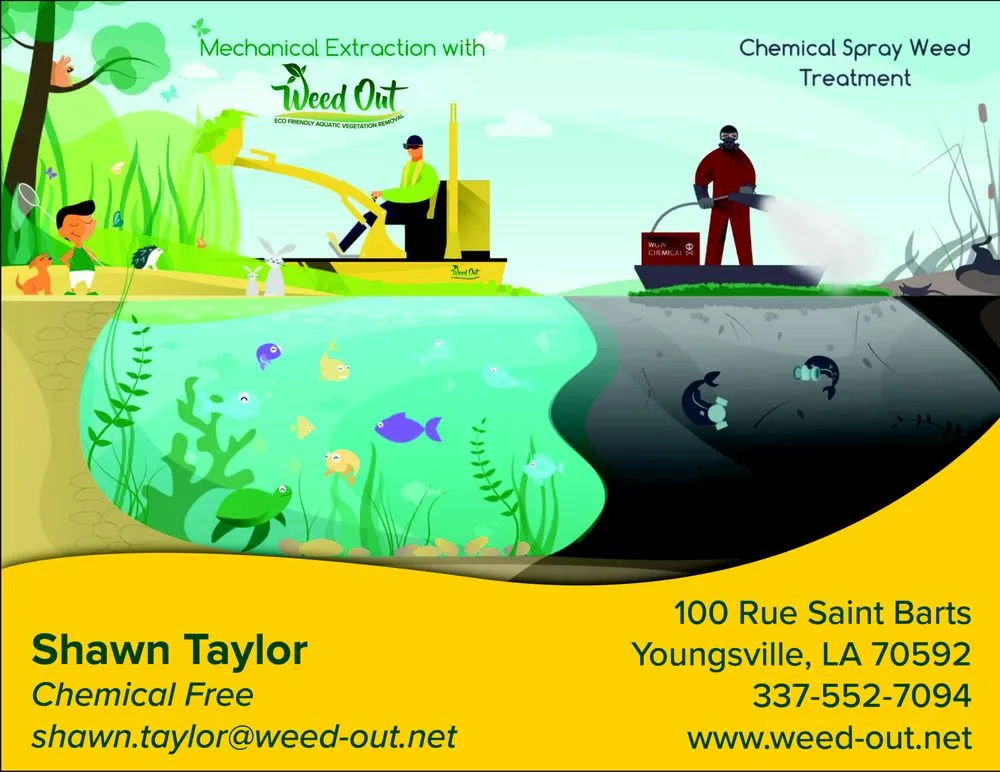 Reliable yard cleanup service for beautiful yards across Mandeville, LA - Pond Cleaning Service