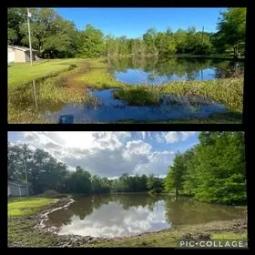 Custom lawn care service in Mandeville, LA by Pond Cleaning Service