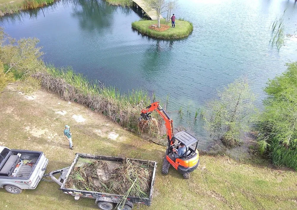 Local landscape installation in Mandeville, LA by Pond Cleaning Service