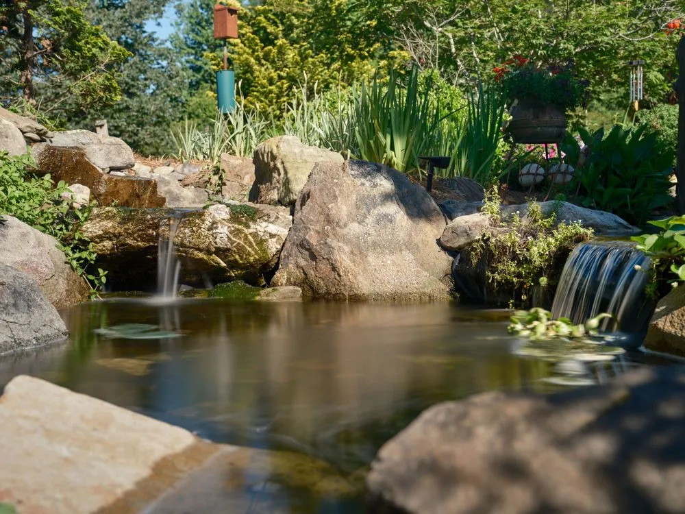 Expert outdoor landscaping in Colfax, NC - Pond Country