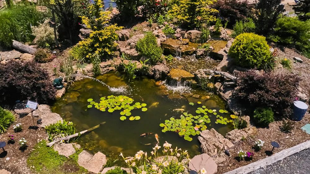 Affordable lawn mowing service in Colfax, NC - Pond Country