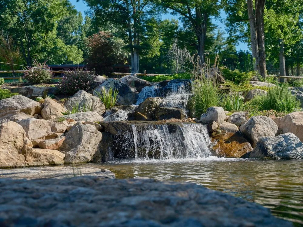 Expert garden landscaping experts serving Colfax, NC - Pond Country