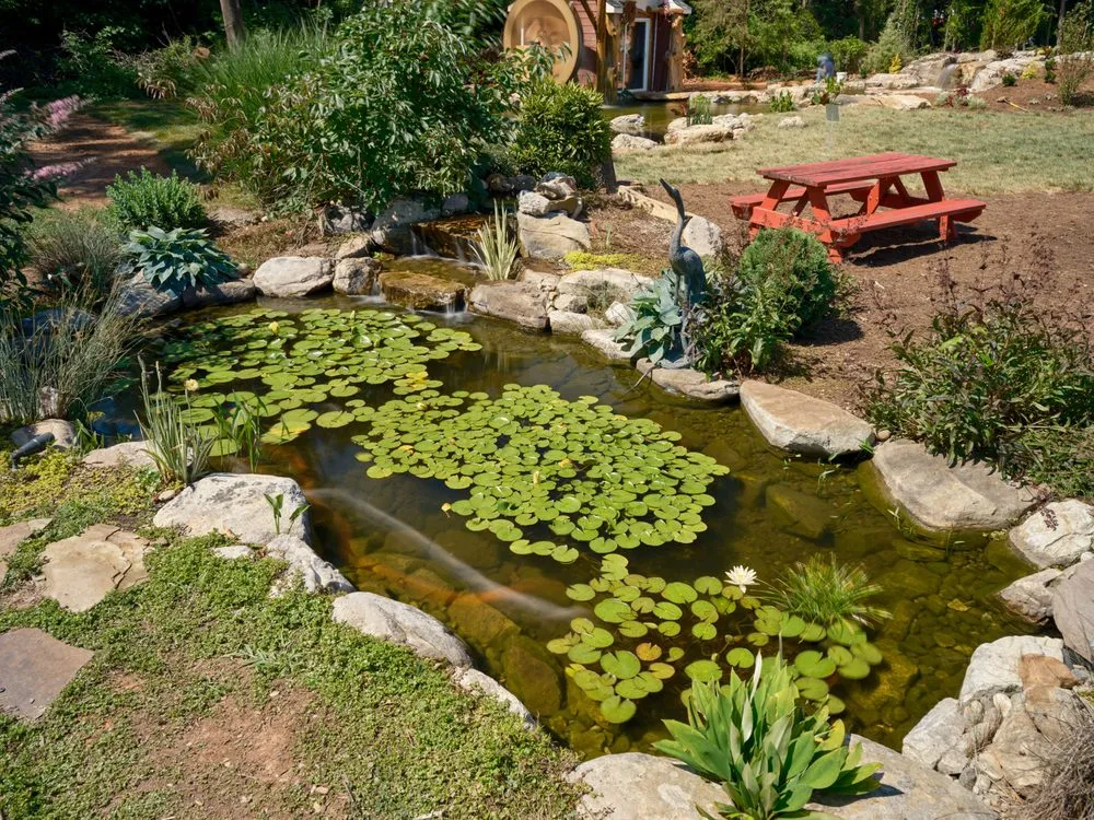 Professional yard maintenance in Colfax, NC - Pond Country