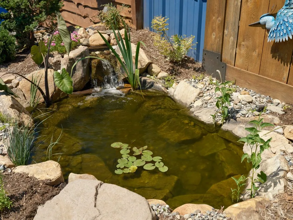 Expert outdoor landscaping with custom design across Colfax, NC - Pond Country