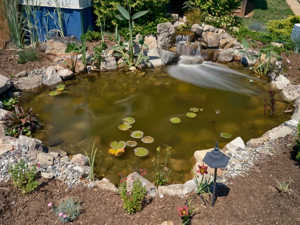 Expert landscaping services for year-round maintenance in Colfax, NC by Pond Country