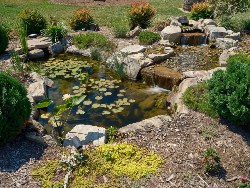 Expert residential landscaping near you across Colfax, NC - Pond Country