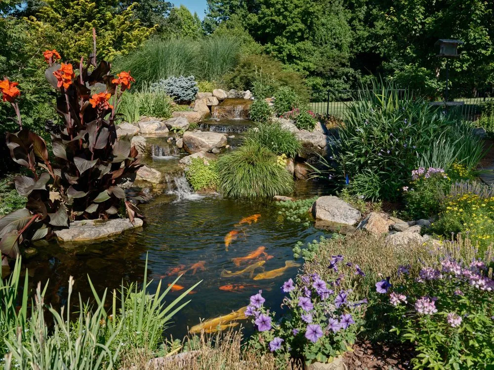 Local lawn care service experts serving Colfax, NC - Pond Country