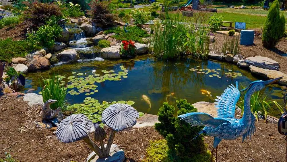 Top-rated residential landscaping with custom design across Mooresville, NC - Pond Country