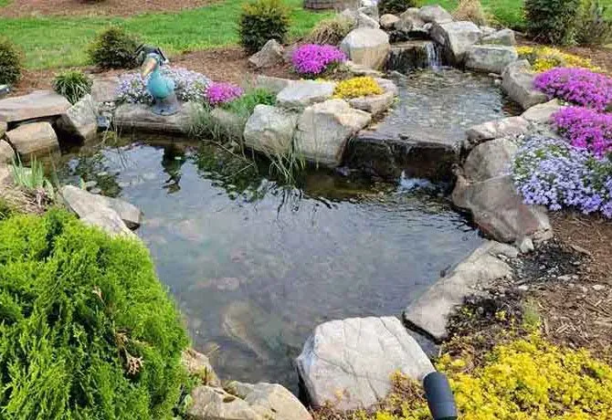 Reliable yard cleanup service experts serving Mooresville, NC - Pond Country