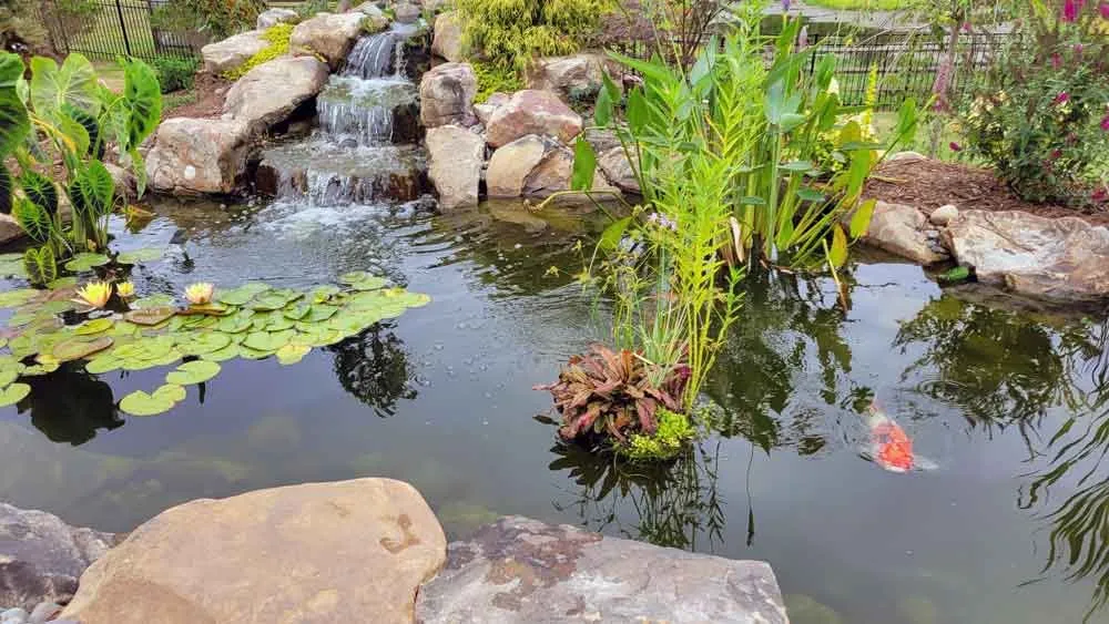 Professional garden landscaping with custom design in Mooresville, NC by Pond Country