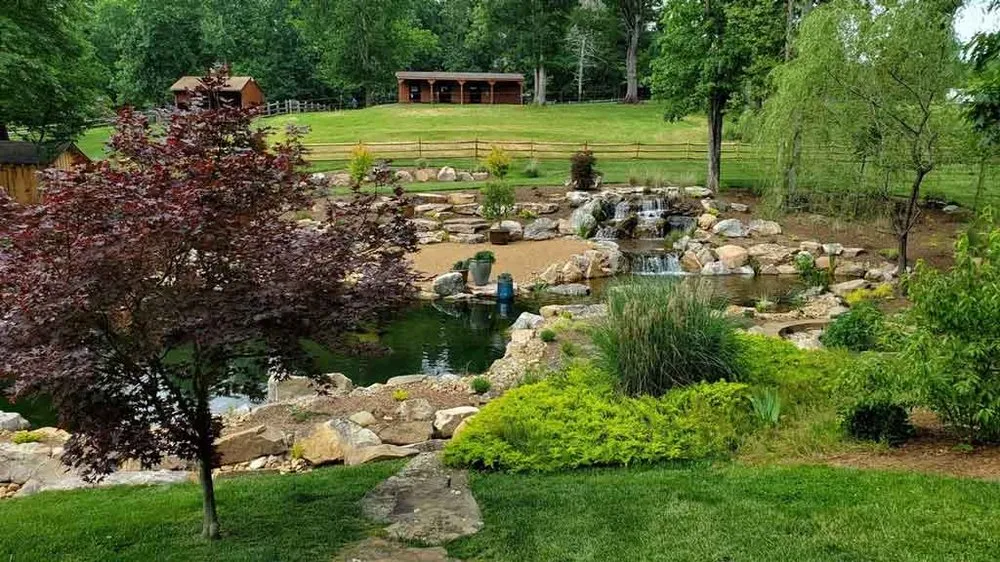 Top-rated outdoor landscaping for year-round maintenance across Mooresville, NC - Pond Country